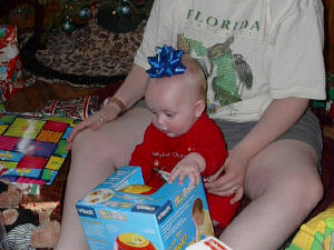 Dubin's First Christmas 2006